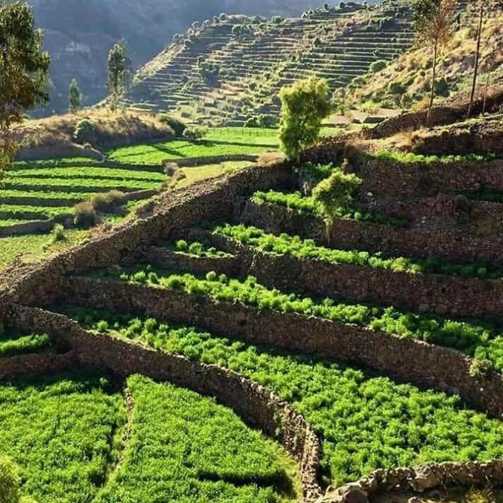 Hotel Misky Punuy - Valle Del Sondondo Андамарка Экстерьер фото